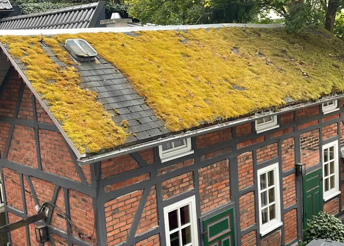 Badehaus Fiedrichs 아파트 *